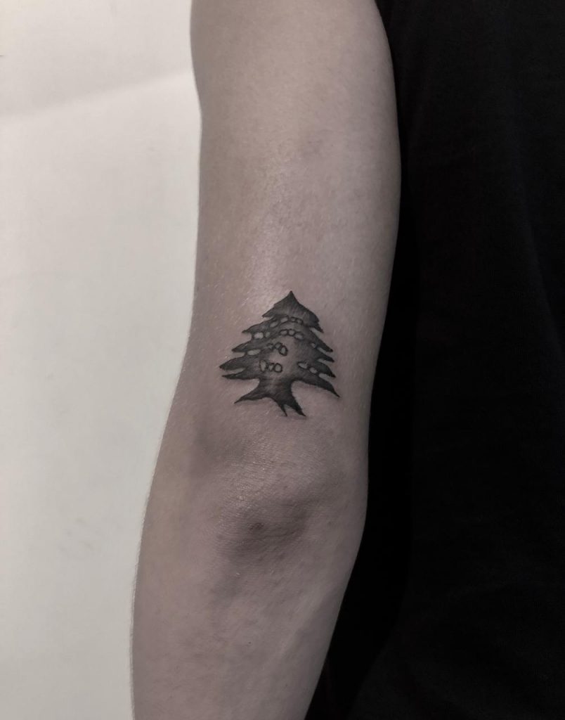 Cedar Tree Temporary Tattoo  Set of 3  Small Tattoos